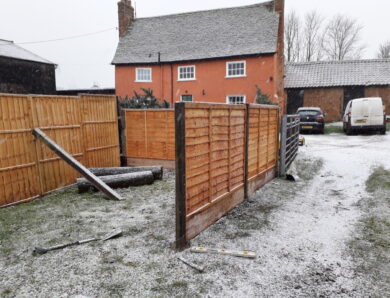 The Garden – January 2021