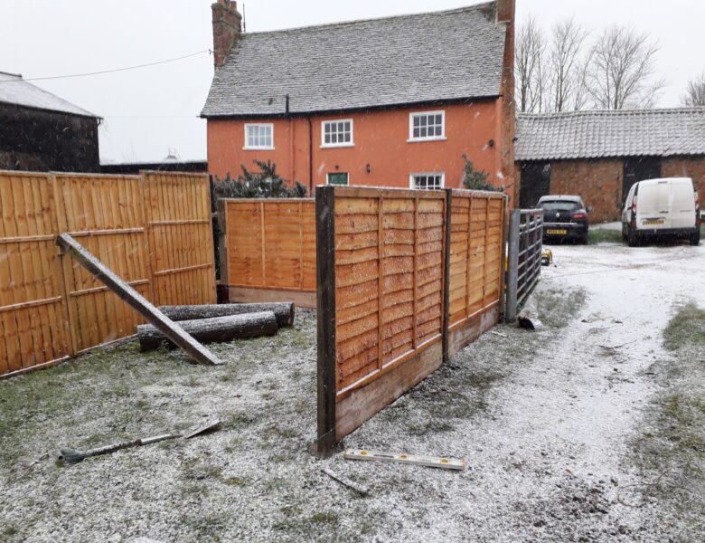 The Garden – January 2021